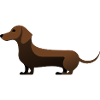 Petit teckel mignon brun foncé