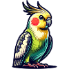 Calopsitte mignonne