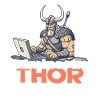Viking Databaseadministra-thor Nerdy