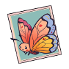Butterfly Butterflies