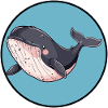 Marine Life Marine Animal