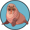 Walrus Sea Lion Sea Animals