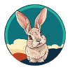 Hase Osterhase Hasenzahn