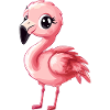 Flamingo Flamenco Water Bird