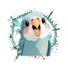 Budgie Parrot Bird