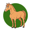 Horse Mane