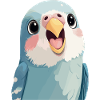 Budgie Wings