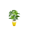 Drôle de botaniste, paysagiste, fleuriste,