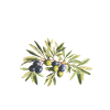 Grèce - Maison des Dieux