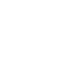 Couleur blanche Vegvisir