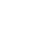 Vegvisir white runes