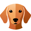 Small Sweet Dachshund Head Caramel