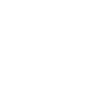 Fat turkey with feather plumage