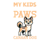 Canaan Dog Dad