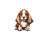 Basset Hound Gifts