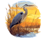 Heron Reiher