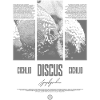Diskusfisch Buntbarsch Aquarium Fischhalter