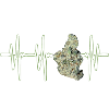 Heartbeat Weed
