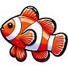 Clownfish