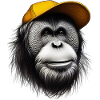 Orangutan Monkey