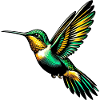 Hummingbird