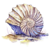 Fossil