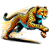Cheetah
