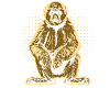 Gibbon - Drôle de dicton