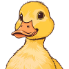 Duckling's beak