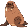 Morse, animaux, otaries