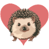 Hérisson Porc-épic Spitz