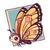 Butterfly Animal Lover