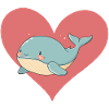 Marine Life Marine Animals Whales