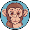Monkey Monkey Face Wilderness