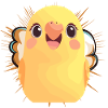 Budgie Parrot