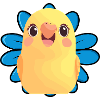 Budgie Bird