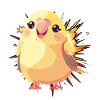 Budgie Parrot