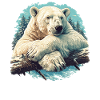 Polar Bear Eisbären Eisbär