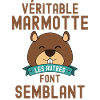 Marmotte forêt randonnée