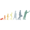 Évolution du dard