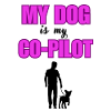 "My dog, my co-pilot"