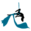 Aerial Silk