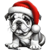 bouledogue noël