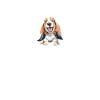 Basset Hound Gifts