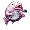 Blobfish Fish Bluegrass Banjo Player
