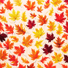 autumn leaves pattern