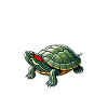 Turtle Red-eared Turtle