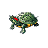 Turtle Red-eared Turtle