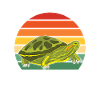 Turtle Red-eared Turtle