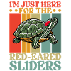 Turtle Red-eared Turtle